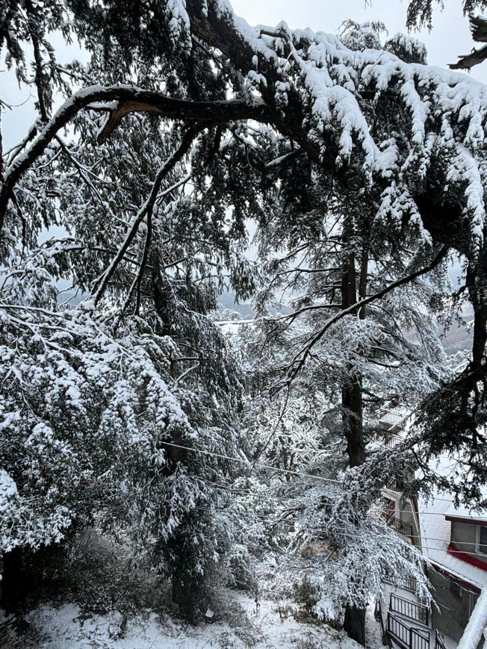 Hotel Jakhu Heights Shimla Zewnętrze zdjęcie