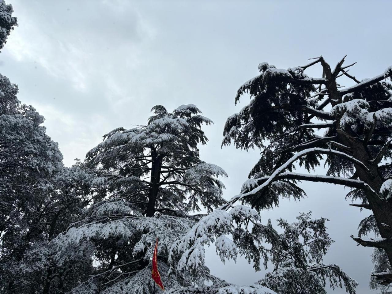 Hotel Jakhu Heights Shimla Zewnętrze zdjęcie